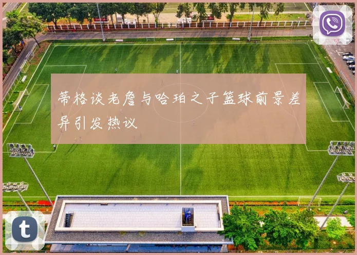 蒂格谈老詹与哈珀之子篮球前景差异引发热议