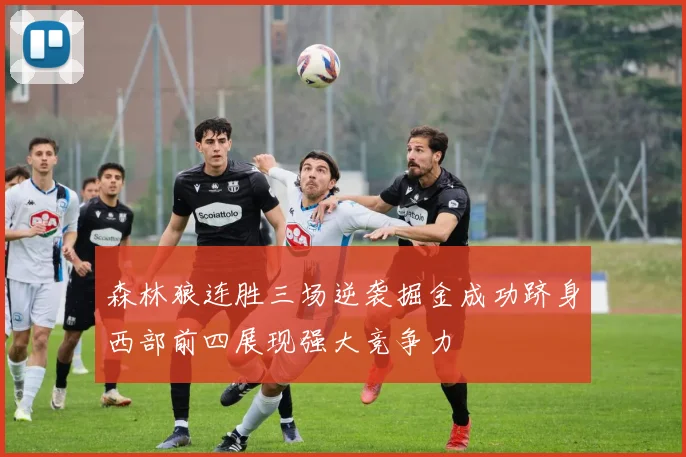 森林狼连胜三场逆袭掘金成功跻身西部前四展现强大竞争力