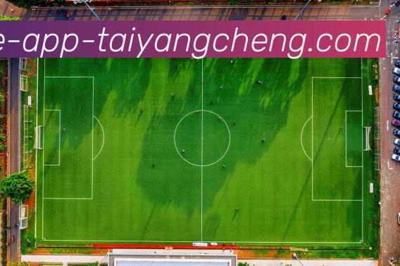 App Interface Preview