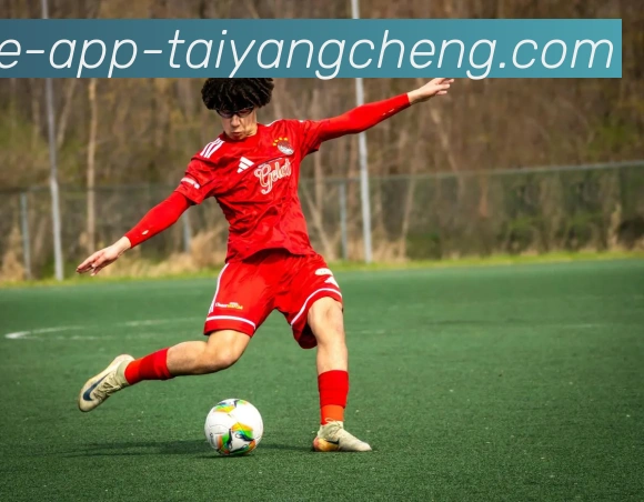 太阳城APP 封面图